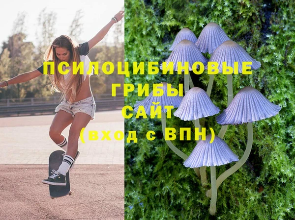 кокс Михайловск