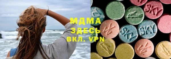 индика Надым