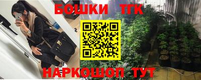 Альфа ПВП Бийск