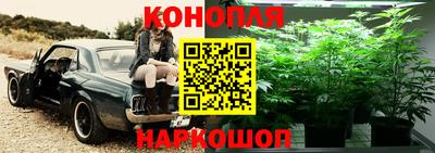 прущий лед Изобильный